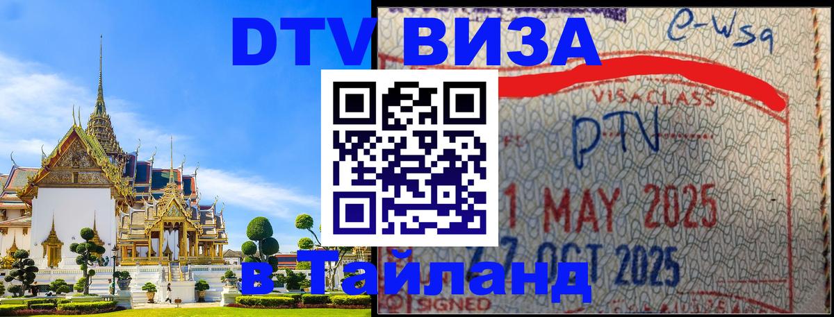 Сколько стоит DTV виза — актуальные цены, оформление даже без документов - 19.11.2025 